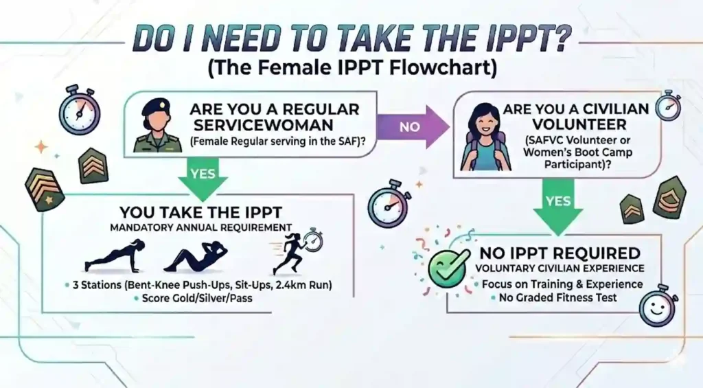 Pcture showing the female ippt flowchart